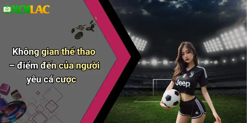 Không gian thể thao – điểm đến của người yêu cá cược