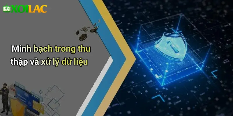 Chính Sách Bảo Mật 4 Minh bạch trong thu thập và xử lý dữ liệu