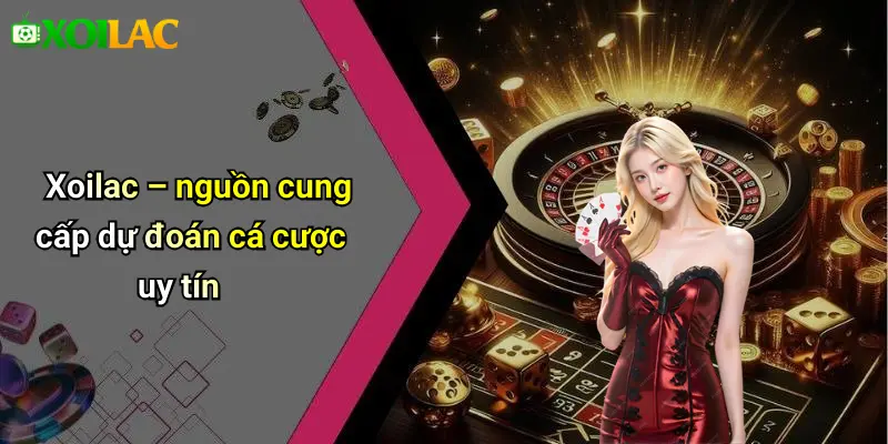 Dự Đoán 2 Xoilac – nguồn cung cấp dự đoán cá cược uy tín