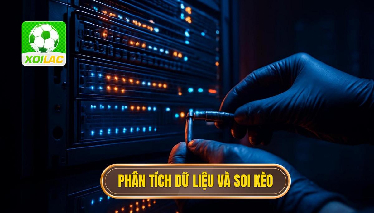 Cá cược bóng đá lợi nhuận cao và chiến lược tối ưu hóa nguồn vốn 2 Phân tích dữ liệu và soi kèo chuyên sâu