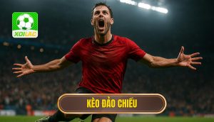thumb - kèo đảo chiều