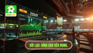 Kèo rung theo từng cú sút: Nghệ thuật bắt nhịp trận đấu đỉnh cao