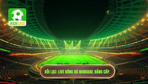 Live bóng đá hôm nay cực cháy Nowgoal – Trải nghiệm đỉnh cao tại Xôi Lạc