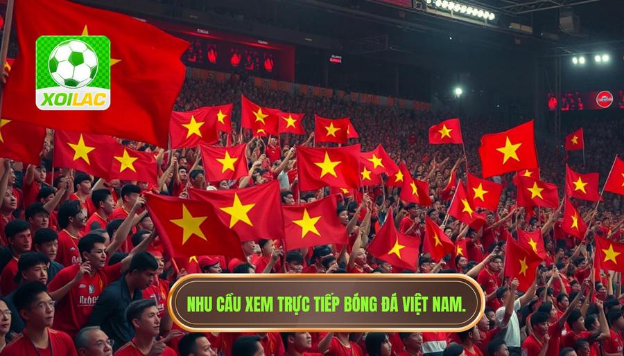 Tại sao nhu cầu xem trực tiếp bóng đá Việt Nam luôn đứng đầu?
