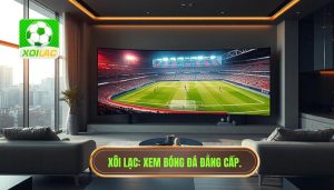 xem bóng đá tốc độ cao