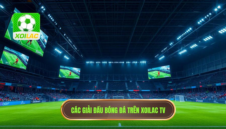 Danh sách các giải đấu được phát sóng trên Xoilac trực tiếp bóng đá hôm nay