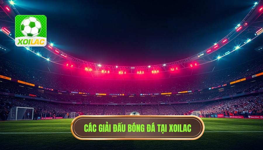 Các giải đấu được săn đón nhất trên Xoilac livestream bóng đá