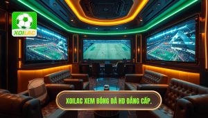 Xoilac Xem Bóng Đá HD - Trực Tiếp Bóng Đá Chất Lượng Cao 2024