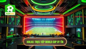Xoilac xem trực tiếp World Cup: Trải nghiệm bóng đá đỉnh cao số 1