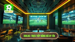 Xoilac Trực Tiếp Bóng Đá Hôm Nay - Xem Bóng Đá HD Miễn Phí